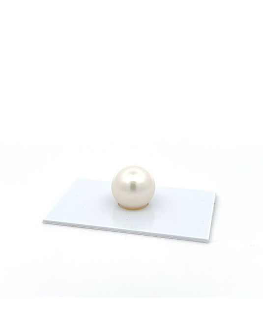 14.15mm South Sea pearl , origin Australia , fine  grade