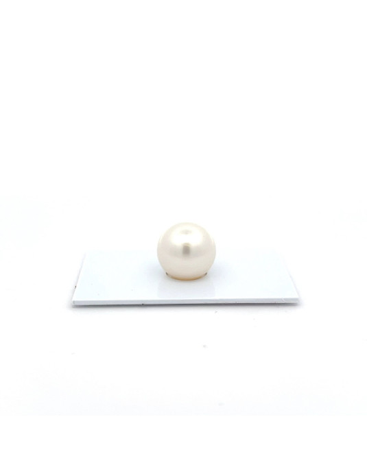 14.15mm South Sea pearl , origin Australia , fine  grade