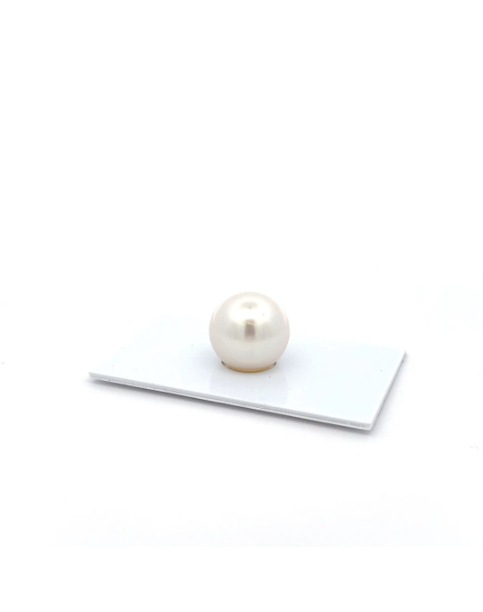 12mm+ fine  grade South Sea pearl, Australia