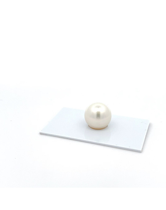 13.72mm South Sea pearl , origin Australia , fine  grade