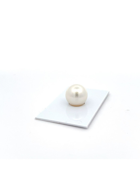 13.72mm South Sea pearl , origin Australia , fine  grade