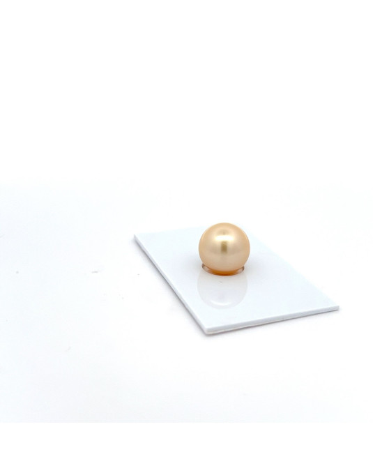 12mm+ gem  grade South Sea pearl, Australia