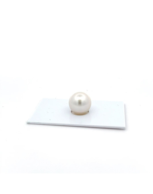 12mm+ gem  grade South Sea pearl, Australia