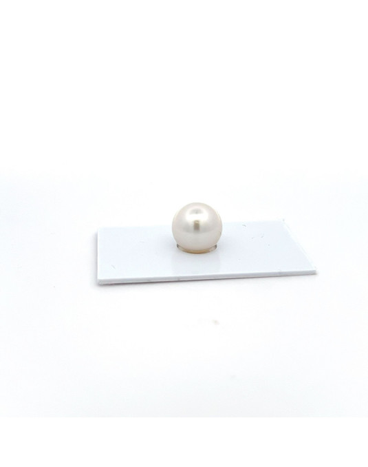12mm+ gem  grade South Sea pearl, Australia