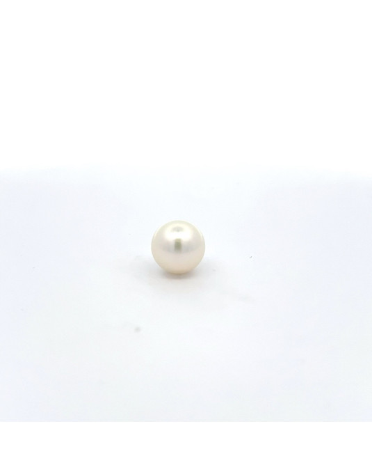 12mm+ gem  grade South Sea pearl, Australia