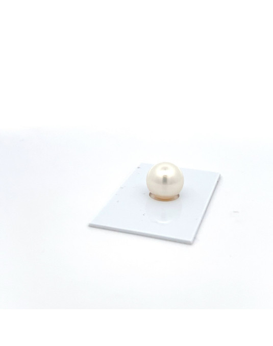 12mm+ gem  grade South Sea pearl, Australia