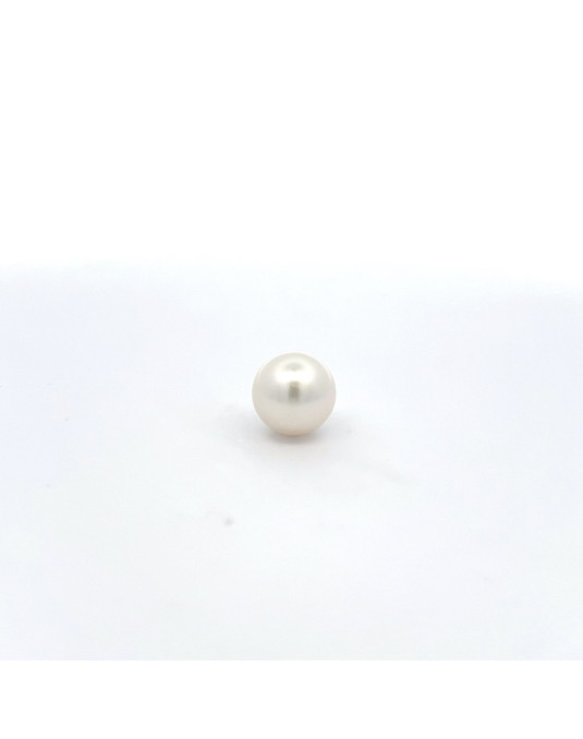 12.55mm South Sea pearl , origin Australia , fine  grade