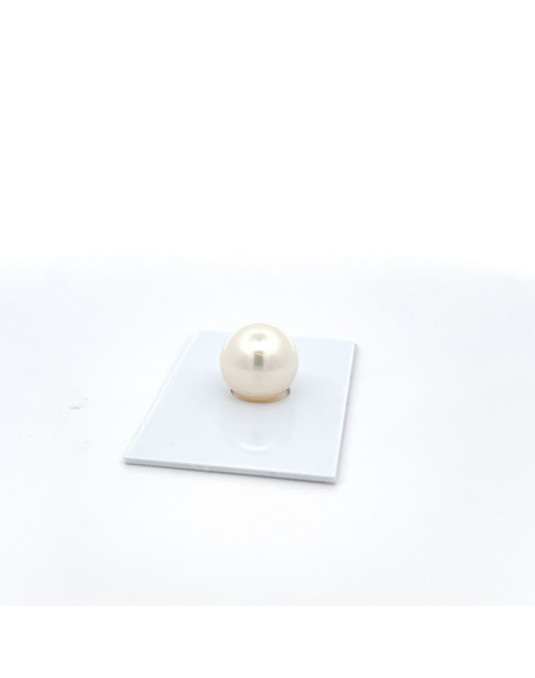 12mm+ fine  grade South Sea pearl, Australia