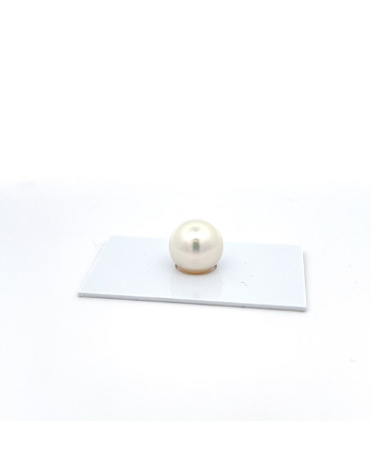 12mm+ fine  grade South Sea pearl, Australia
