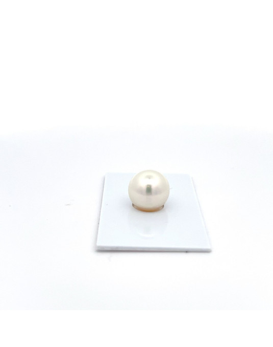 12.88mm South Sea pearl , origin Australia , fine  grade