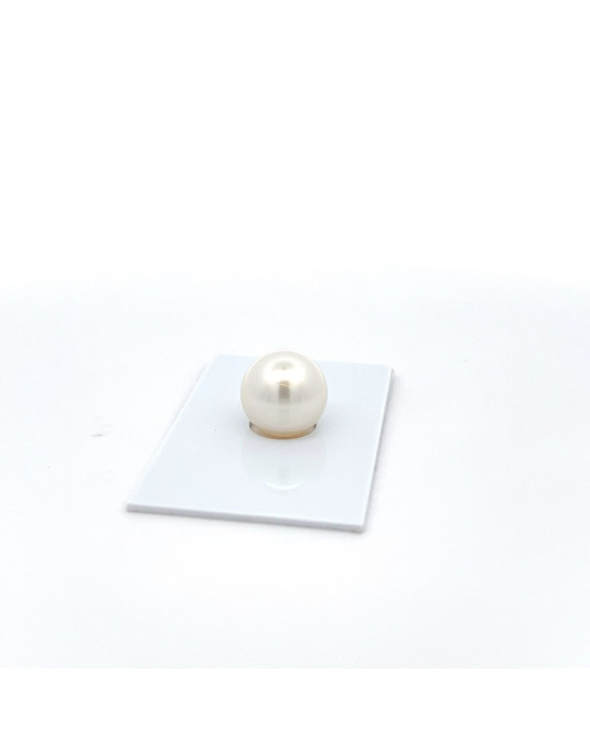 12.84mm South Sea pearl , origin Australia , fine  grade