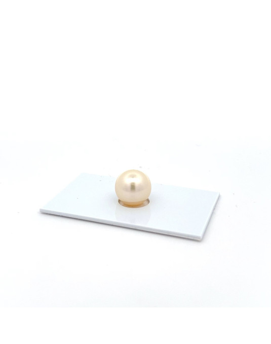 9mm+ fine  grade South Sea pearl, Australia