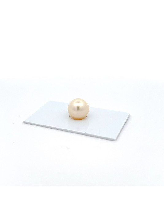 11.55mm South Sea pearl , origin Australia , fine  grade