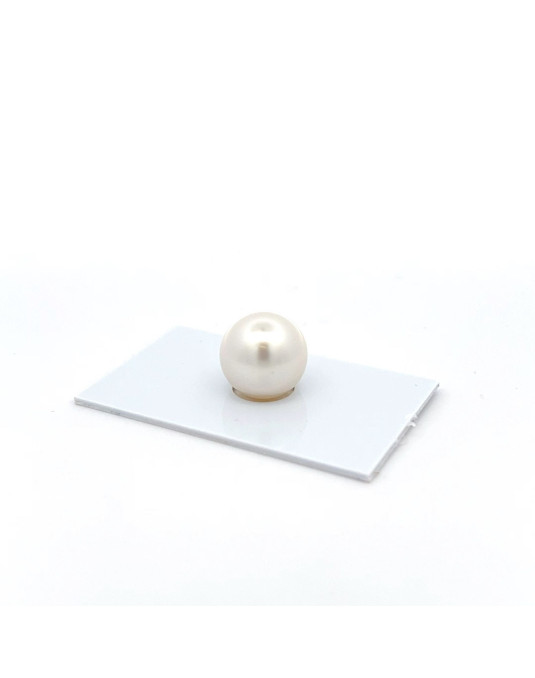 12mm+ jewel  grade South Sea pearl, Australia