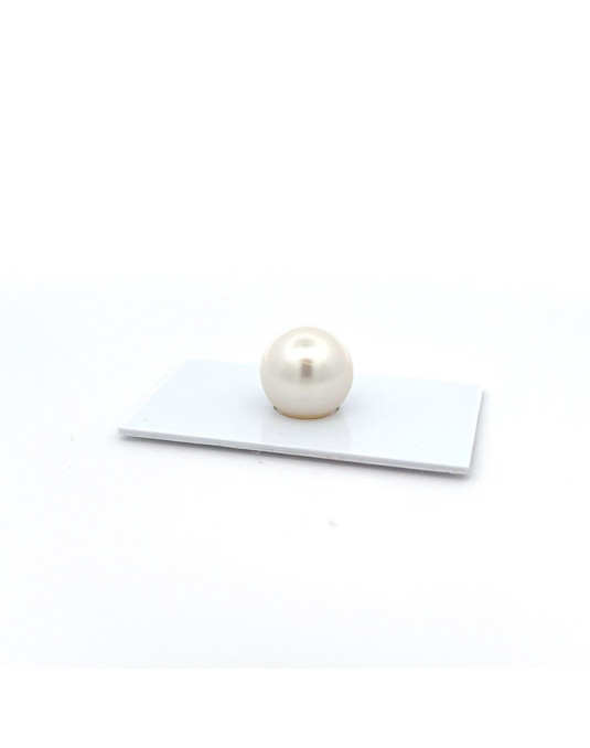 14.02mm South Sea pearl , origin Australia , jewel  grade
