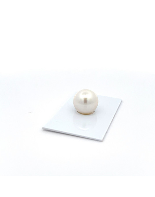 14.02mm South Sea pearl , origin Australia , jewel  grade