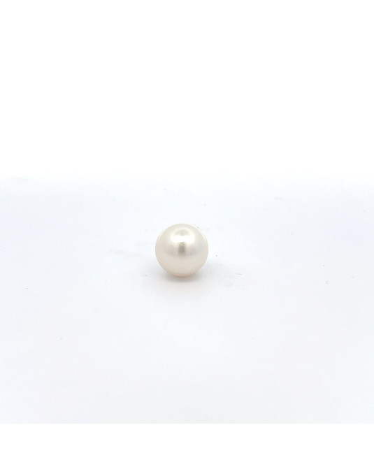 12.5mm South Sea pearl , origin Australia , fine  grade