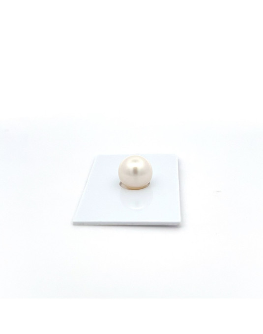 9mm+ fine  grade South Sea pearl, Australia