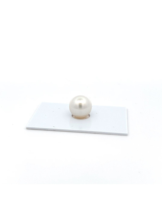 12.22mm South Sea pearl , origin Australia , fine  grade