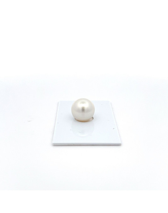 12mm+ fine  grade South Sea pearl, Australia