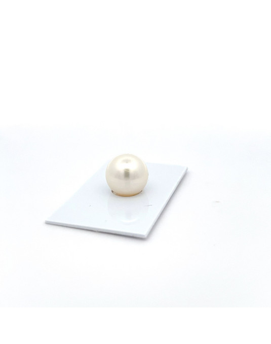 12mm+ jewel  grade South Sea pearl, Australia