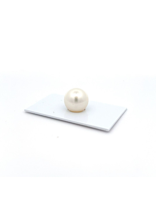 13.73mm South Sea pearl , origin Australia , jewel  grade