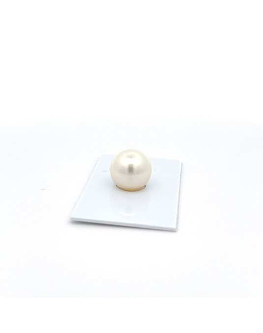 13.73mm South Sea pearl , origin Australia , jewel  grade