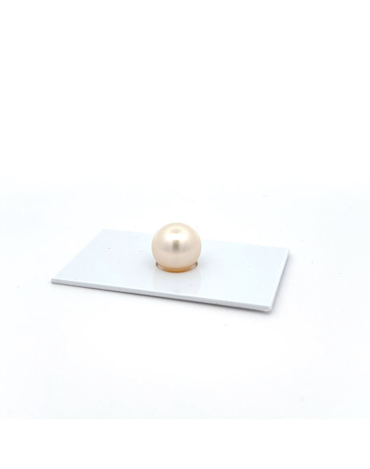 11.65mm South Sea pearl , origin Australia , fine  grade