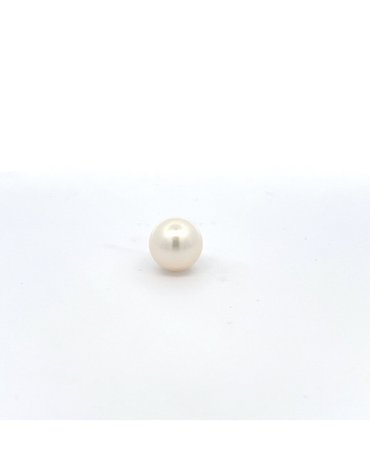 12mm+ jewel  grade South Sea pearl, Australia
