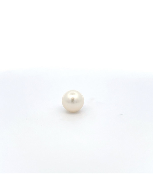 12mm+ jewel  grade South Sea pearl, Australia