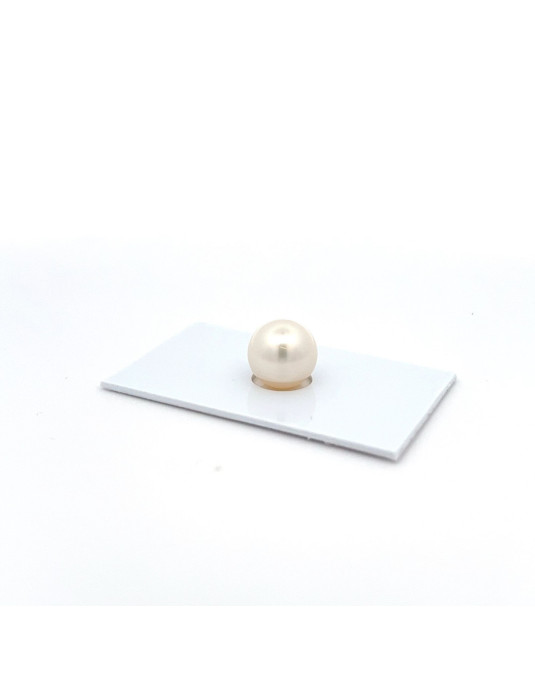 11.39mm South Sea pearl , origin Australia , fine  grade