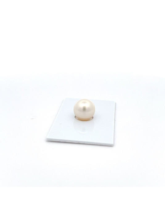 11.39mm South Sea pearl , origin Australia , fine  grade