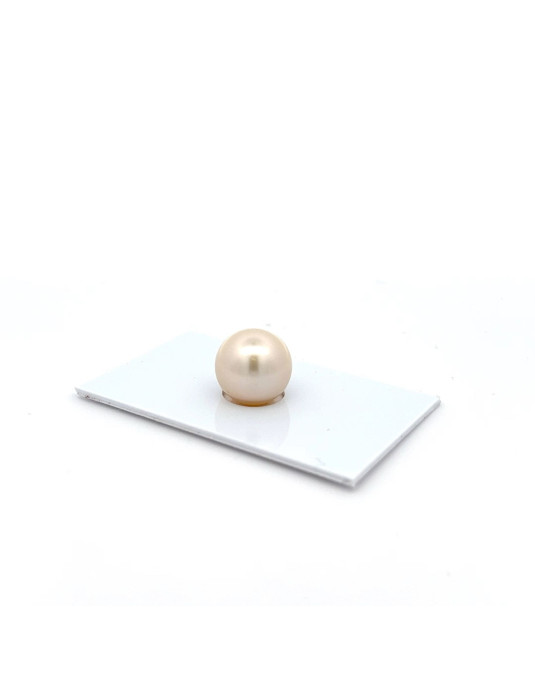 12.3mm South Sea pearl , origin Australia , jewel  grade