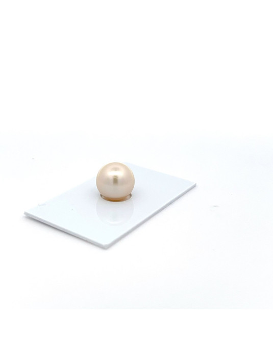 12.3mm South Sea pearl , origin Australia , jewel  grade