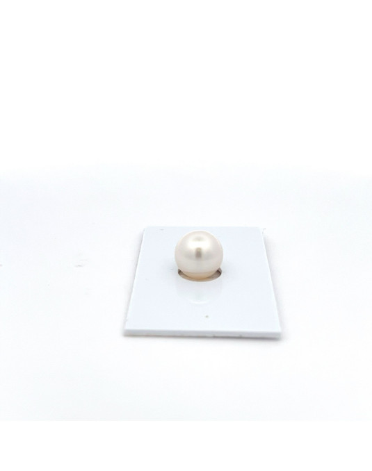 11.11mm South Sea pearl , origin Australia , fine  grade