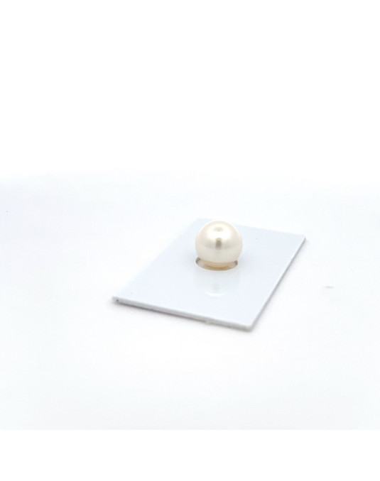 11.28mm South Sea pearl , origin Australia , fine  grade