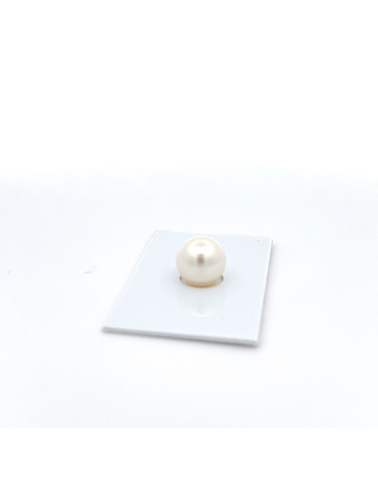 11.28mm South Sea pearl , origin Australia , fine  grade
