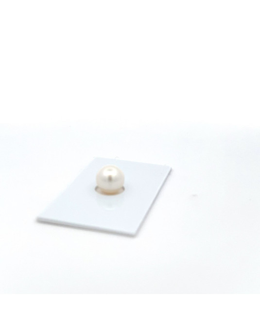 9mm+ gem  grade South Sea pearl, Australia