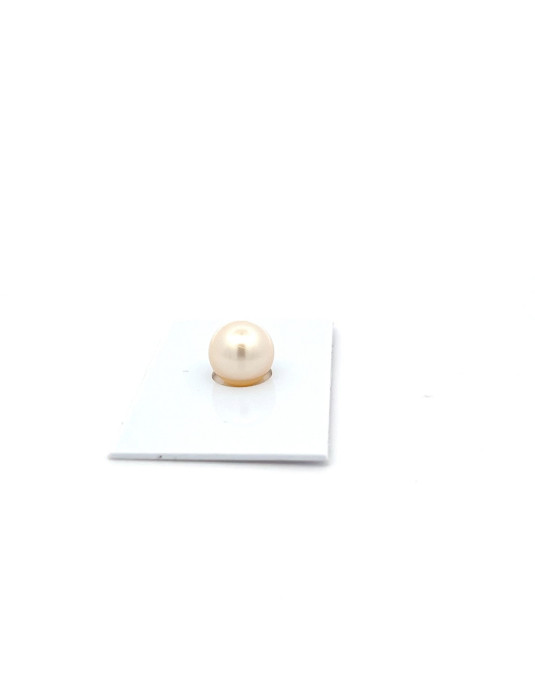 9mm+ jewel  grade South Sea pearl, Australia