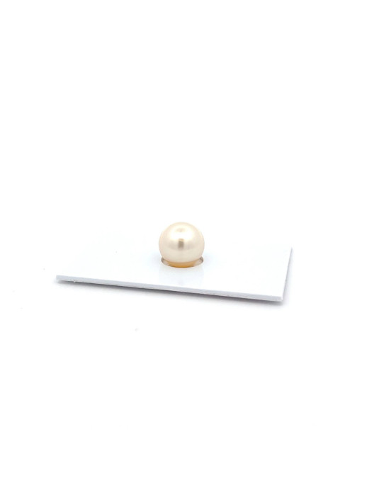 10.8mm South Sea pearl , origin Australia , jewel  grade