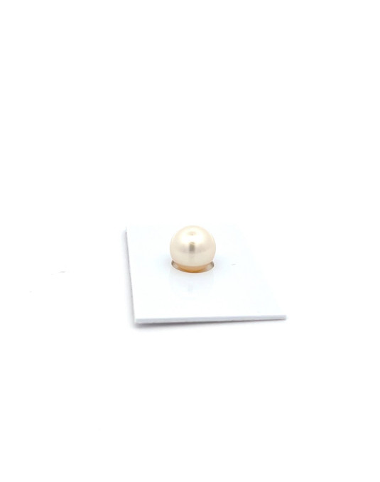 10.8mm South Sea pearl , origin Australia , jewel  grade