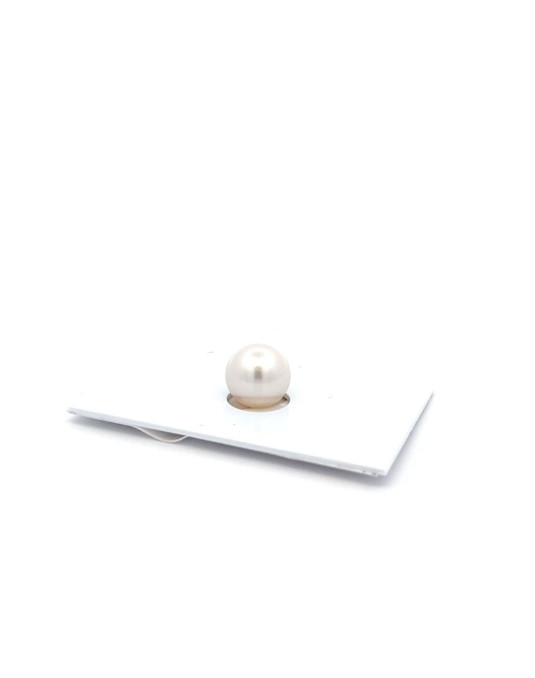 10.43mm South Sea pearl , origin Australia , jewel  grade