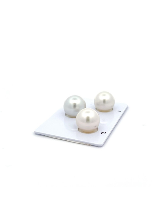 12.38/11.82/11.82mm South Sea pearl , origin Australia , fine  grade