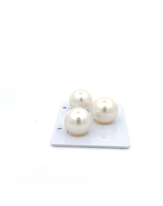13.4213.42/13.4mm South Sea pearl , origin Australia , fine  grade
