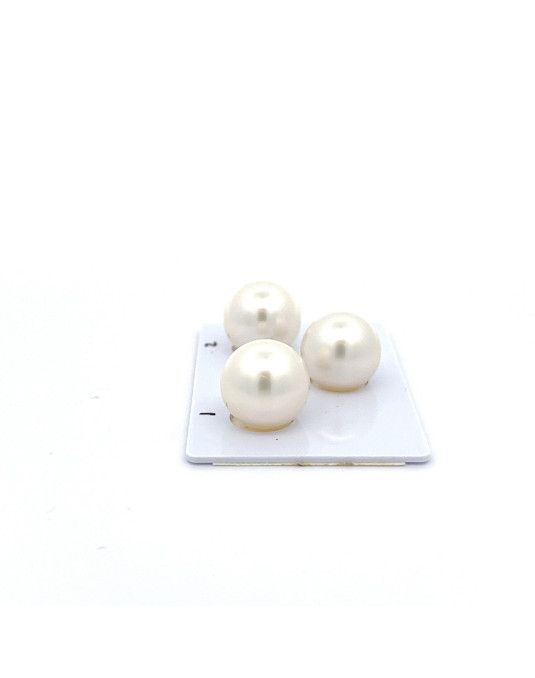 13.82/13.66/13.23mm South Sea pearl , origin Australia , fine  grade