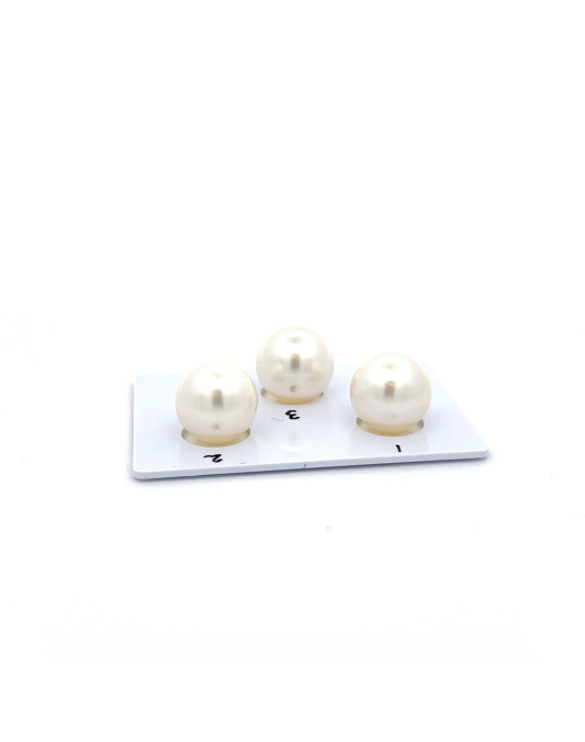 12.4/12.09/12.04mm South Sea pearl , origin Australia , fine  grade