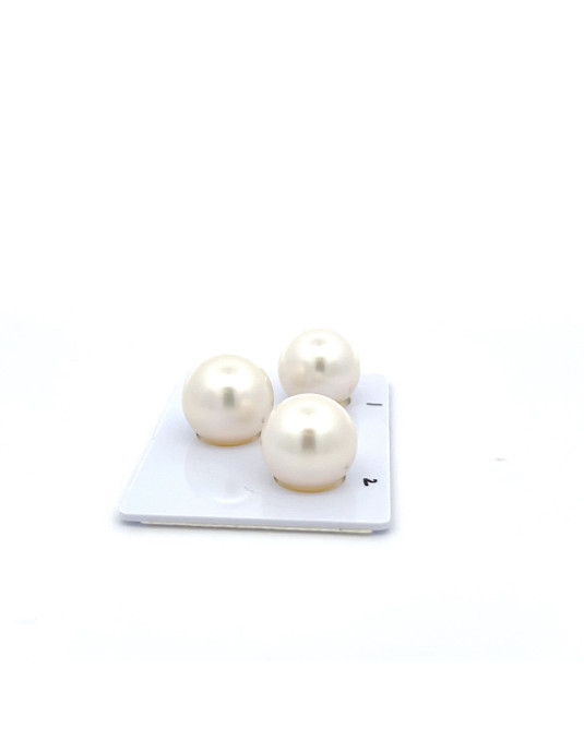 13.72/13.26/13.25mm South Sea pearl , origin Australia , fine  grade