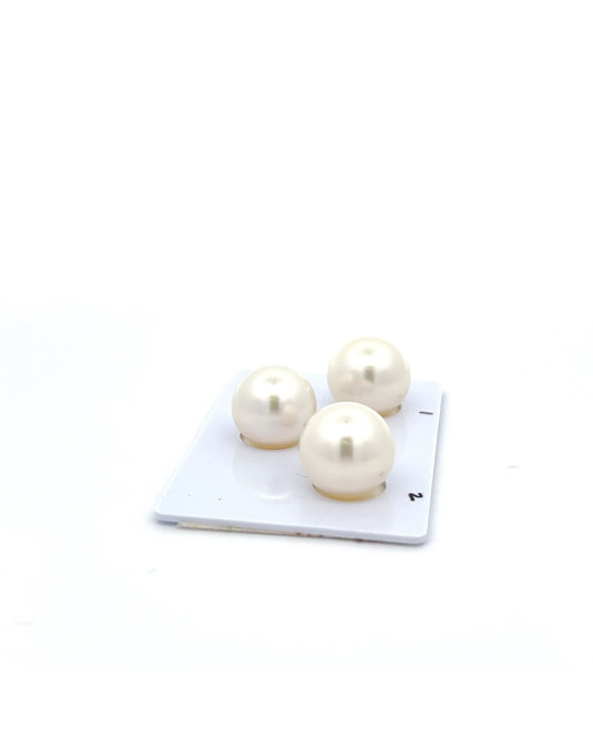 12.9/12.89/12.48mm South Sea pearl , origin Australia , jewel  grade