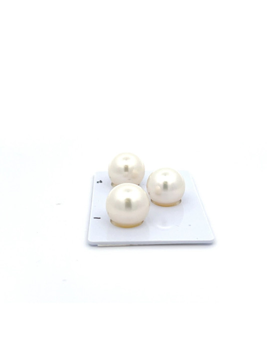 12.9/12.89/12.48mm South Sea pearl , origin Australia , jewel  grade