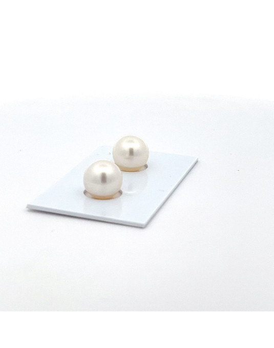 9mm+ fine  grade South Sea pearl, Indonesia